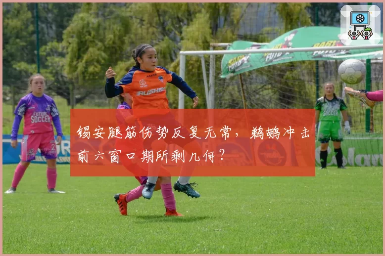 锡安腿筋伤势反复无常,鹈鹕冲击前六窗口期所剩几何?