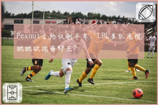 Peanut合约仅剩半年,LPL多队虎视眈眈欲挖角野王?