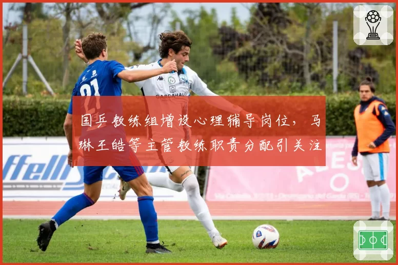 国乒教练组增设心理辅导岗位，马琳王皓等主管教练职责分配引关注