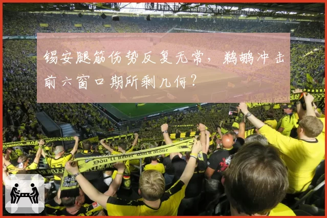 锡安腿筋伤势反复无常,鹈鹕冲击前六窗口期所剩几何?